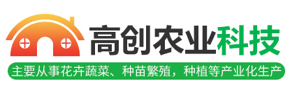 惠州市越洋電子有限公司